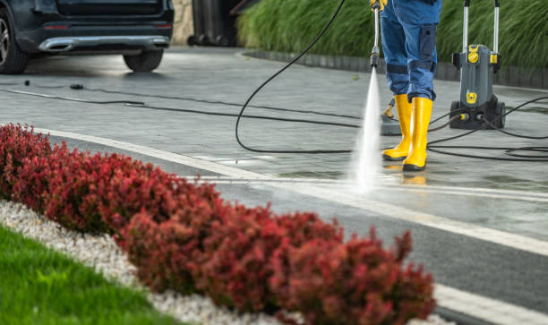 Best Roof Pressure Washing  in Rolla, MO