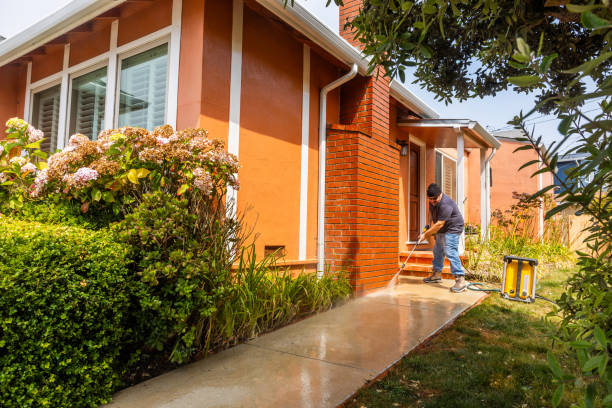 Best Affordable Pressure Washing  in Rolla, MO